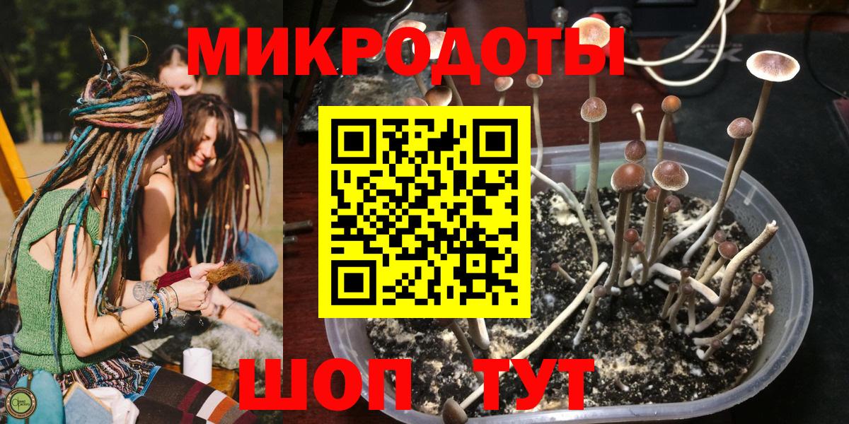 Галлюциногенные грибы Cubensis Егорьевск
